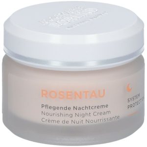 ANNEMARIE BÖRLIND ROSENTAU Pflegende Nachtcreme