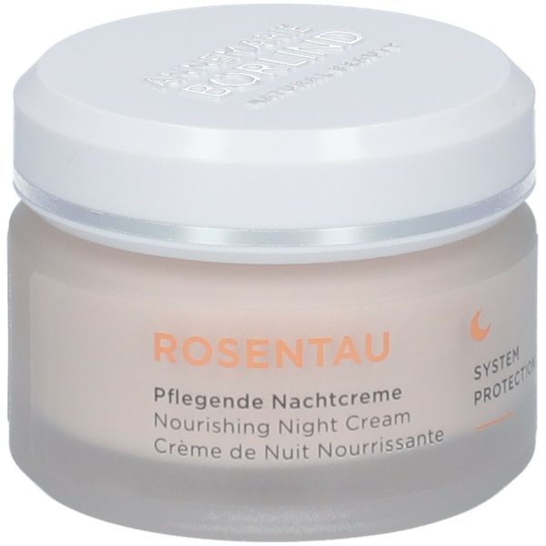 ANNEMARIE BÖRLIND ROSENTAU Pflegende Nachtcreme