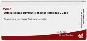 Arteria Carotis Communis Et Sin.Carot.Gl D 8 Ampul