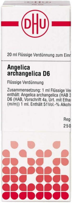 DHU Angelica archangelica D6 Dilution 20 ml