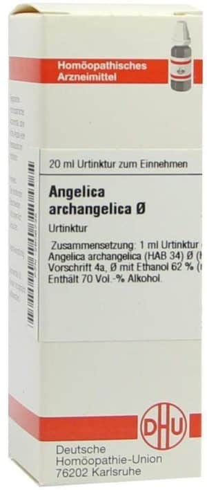 DHU Angelica archangelica Urtinktur 20 ml Dilution
