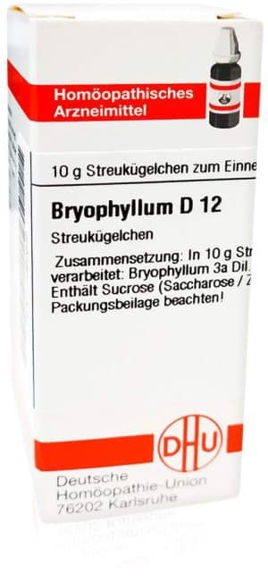 DHU Bryophyllum D12 10 g Globuli