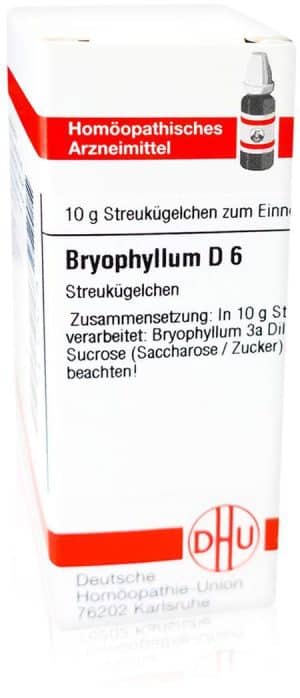 DHU Bryophyllum D6 Globuli
