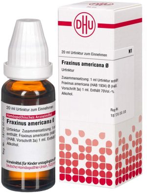DHU Fraxinus americana Urtinktur 20 ml