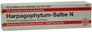 DHU Harpagophytum N 50 g Salbe