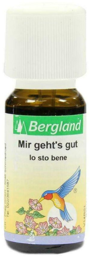 Mir Gehts Gut Ätherische Öl Mmischung 10 ml