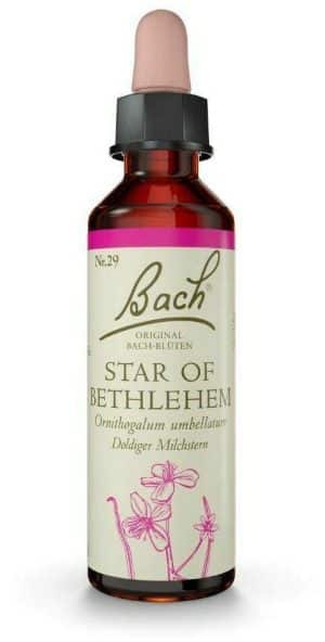 Original Bach-Blüte Star of Betlehem Tropfen 10 ml