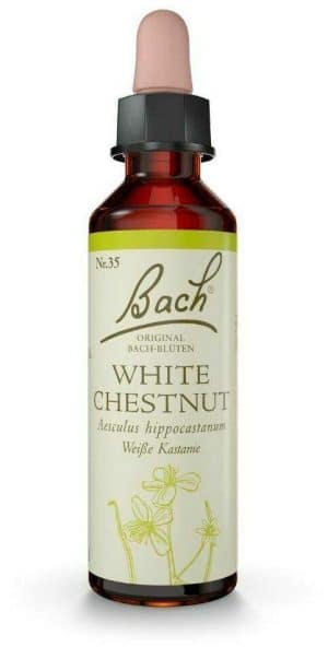 Original Bach-Blüte White Chestnut Tropfen 10 ml