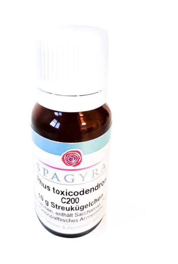 Rhus Toxicodendron C 200 Globuli 10 G