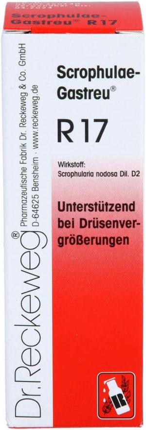 Scrophulae Gastreu R17 22 ml Tropfen zum Einnehmen