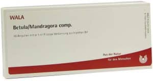 Wala Betula-Mandragora Comp. 10 X 1 Ampullen