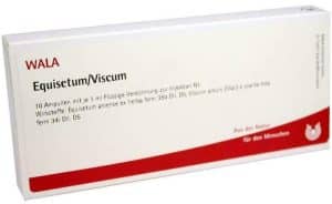 Wala Equisetum Viscum 10 X 1 ml Ampullen