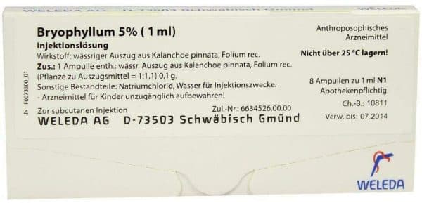Weleda Bryophyllum 5% 8 X 1 ml Injektionslösung