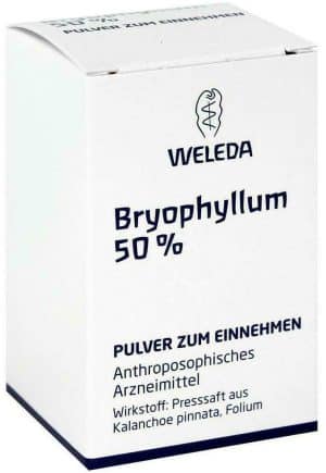 Weleda Bryophyllum 50% 20 G Pulver
